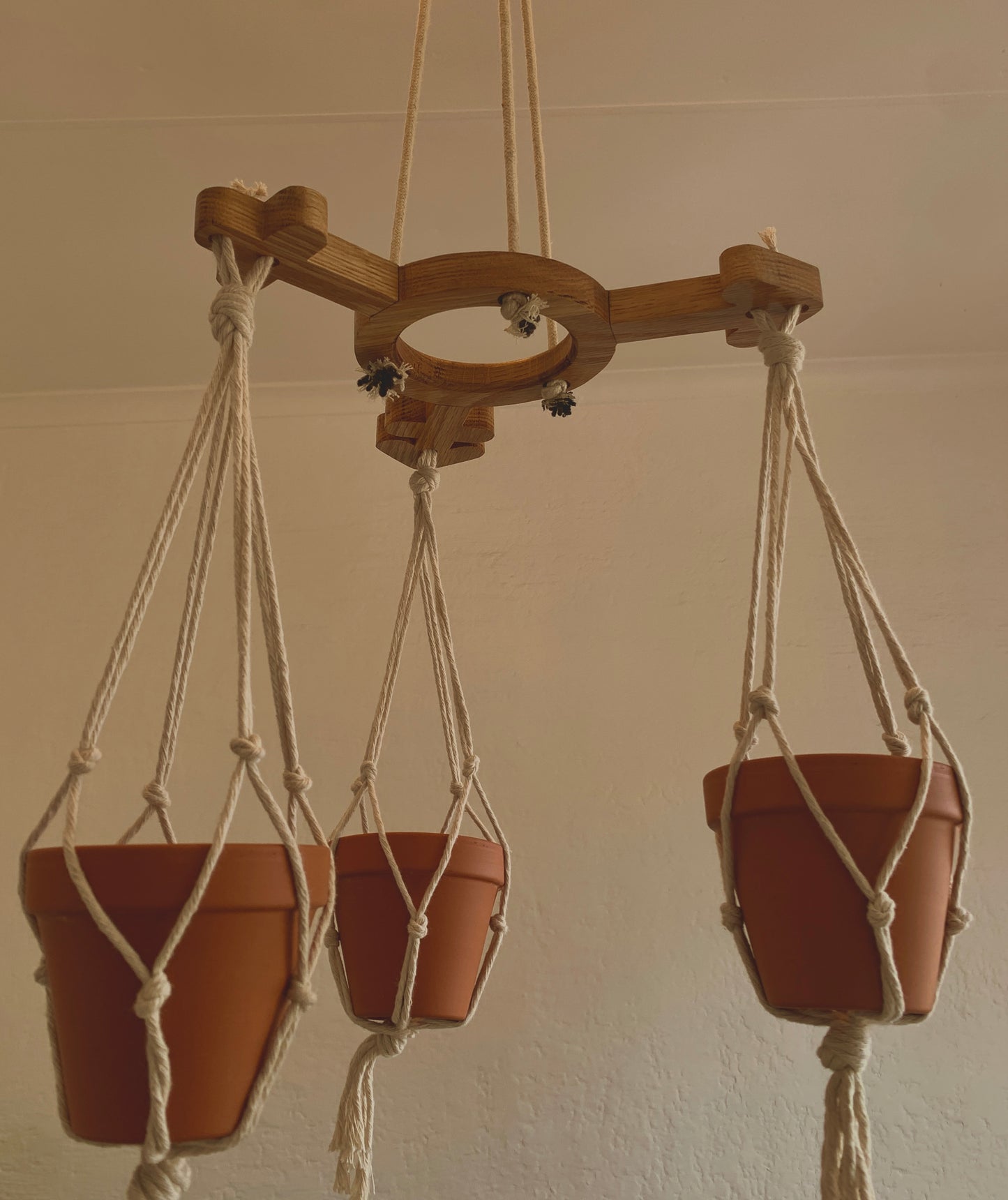 Trans Plant Hanger