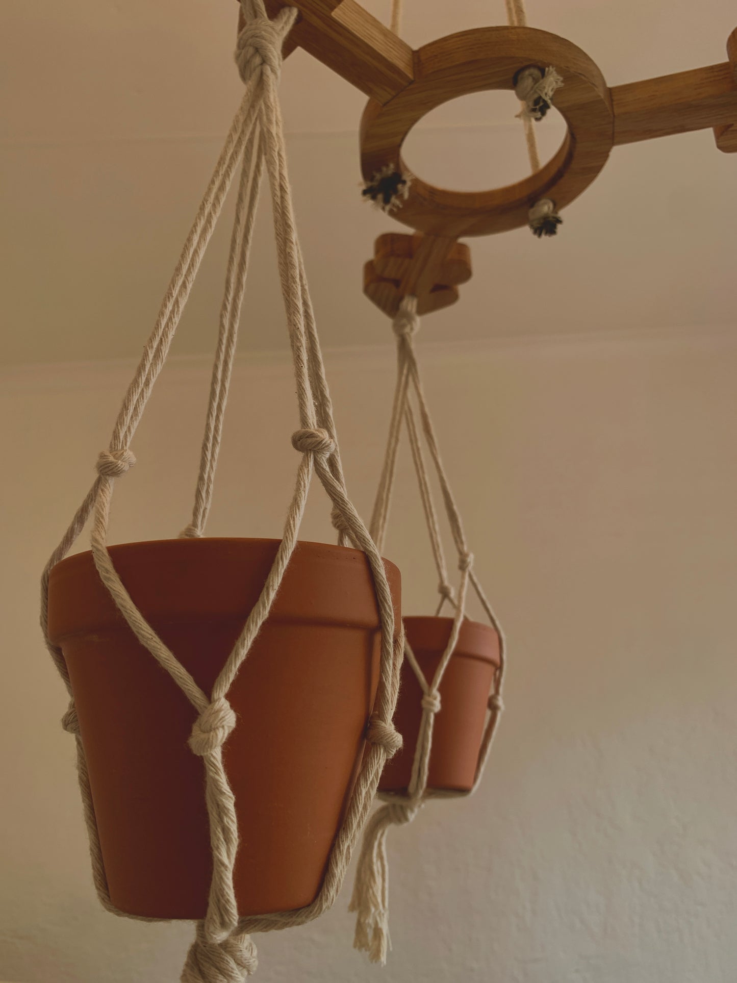 Trans Plant Hanger