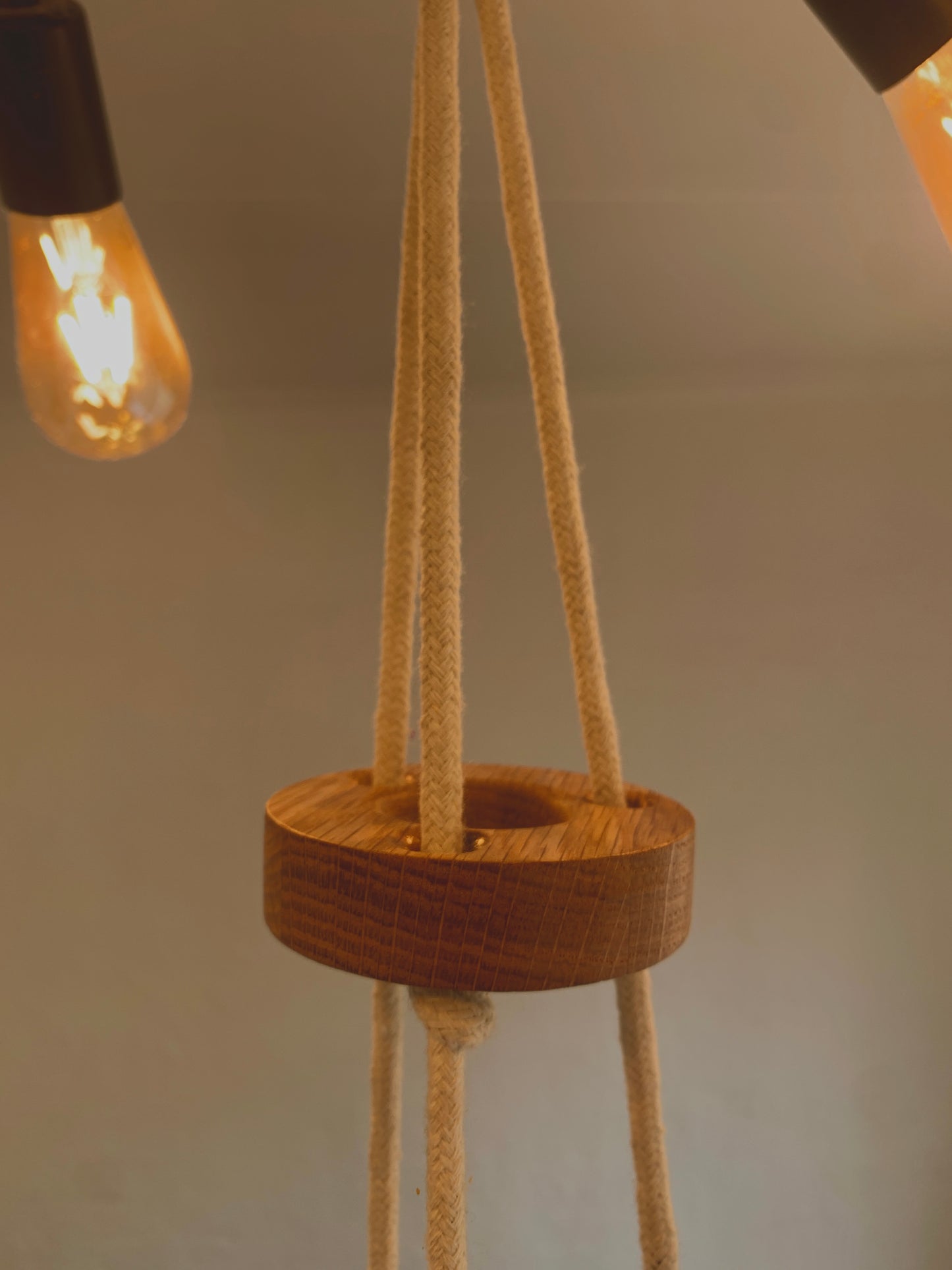 Trans Plant Hanger