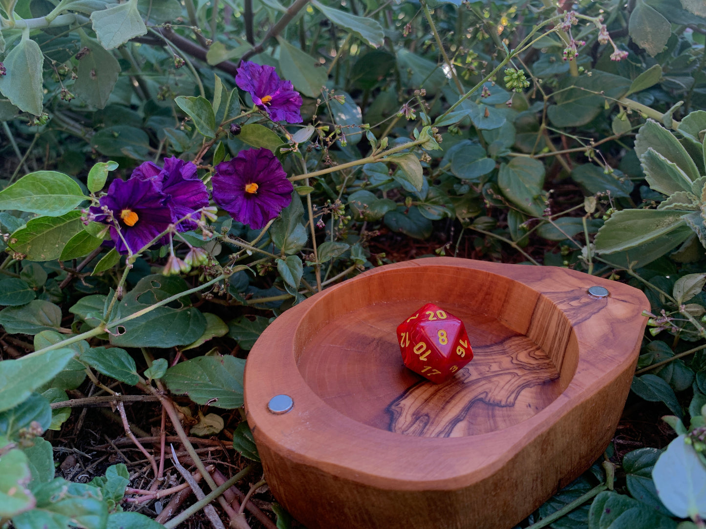 Wild Olive Dice Box