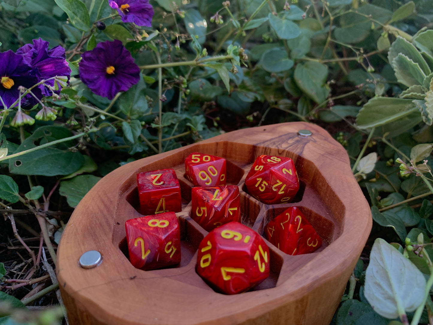 Wild Olive Dice Box