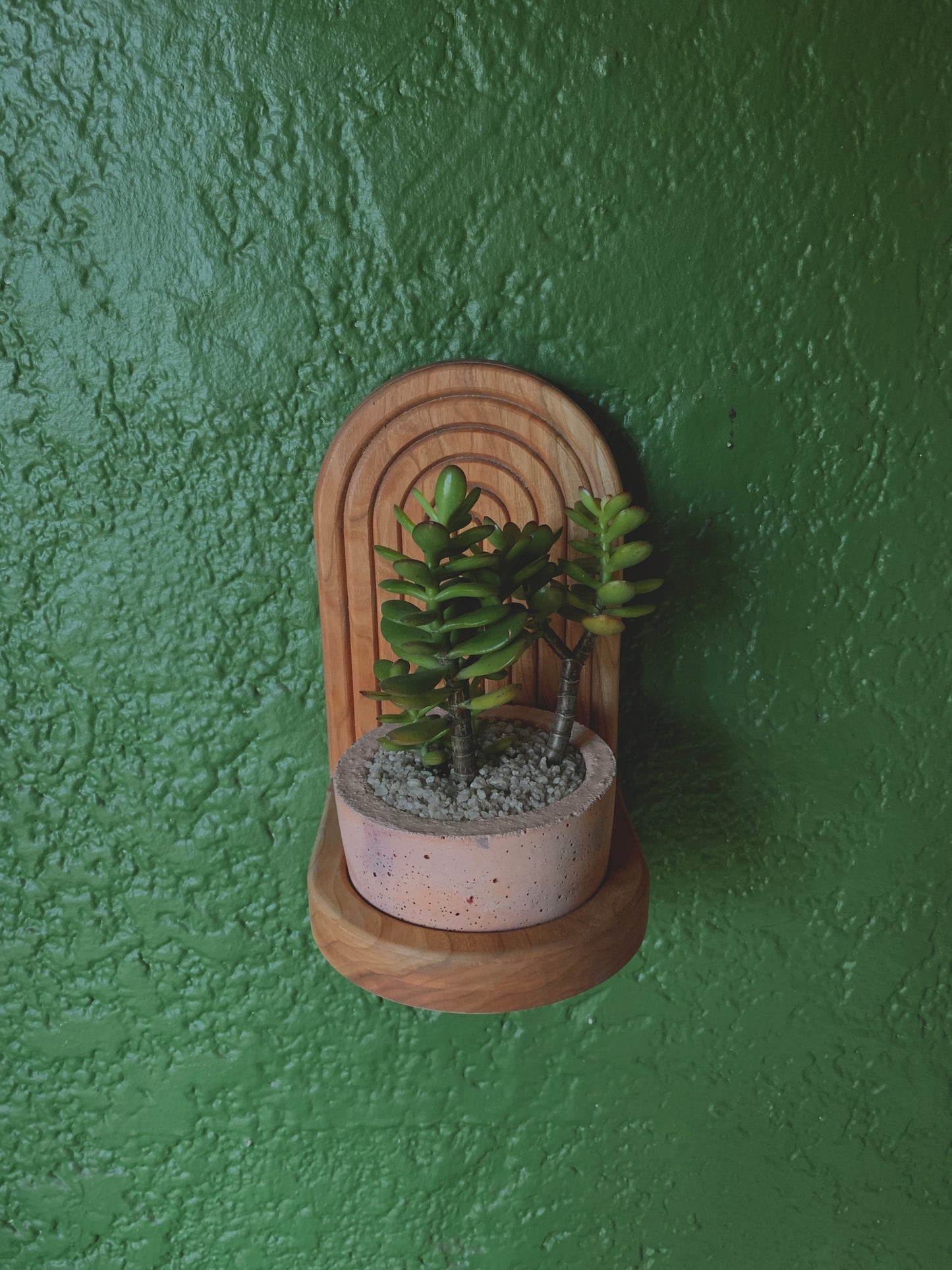 Fluted Cherrywood Plant Holder